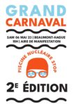 CarnavalPiscine2-6mai.cleaned